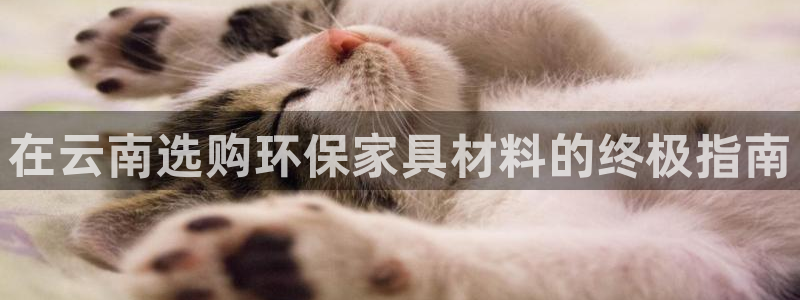 杏耀平台靠谱吗