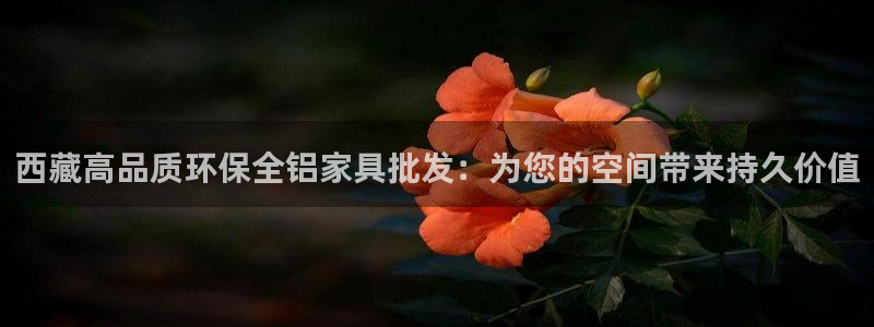 杏耀总代