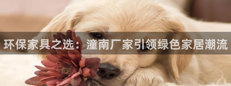 杏耀平台首页