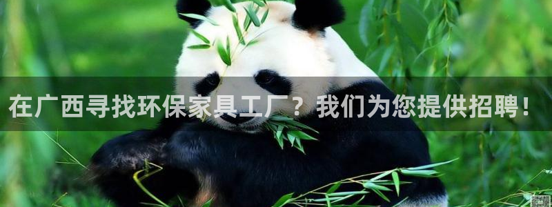 杏耀网址官网