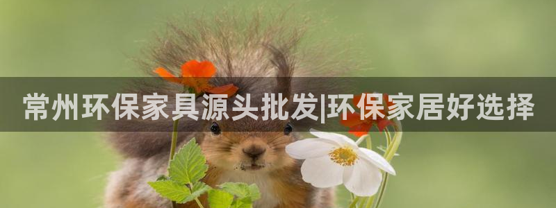 杏耀测速娱乐