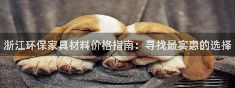 杏耀主管qq