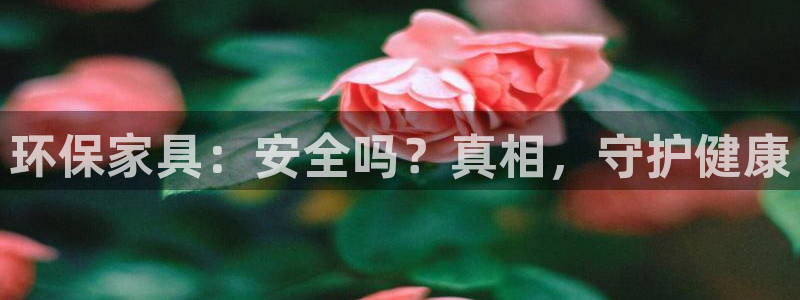 杏耀代理连接