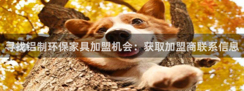 杏耀测速娱乐