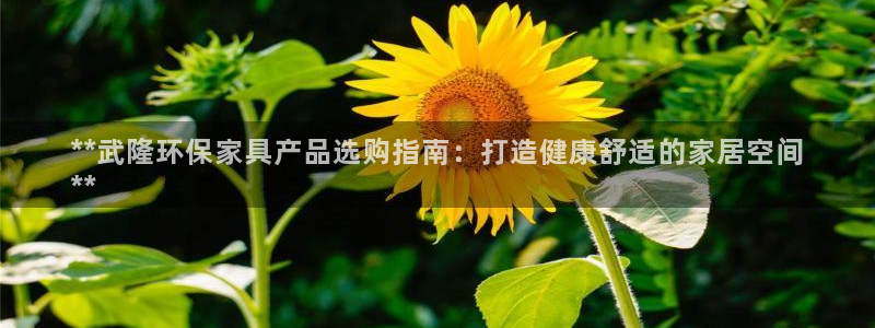 杏耀测速娱乐