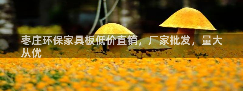 杏耀平台网页版