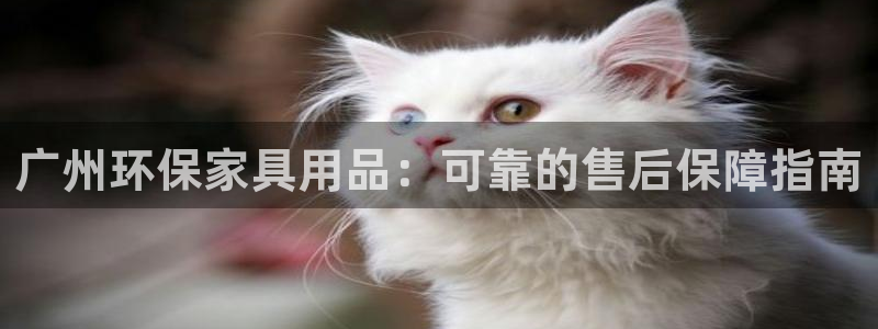 杏耀代理主管qq