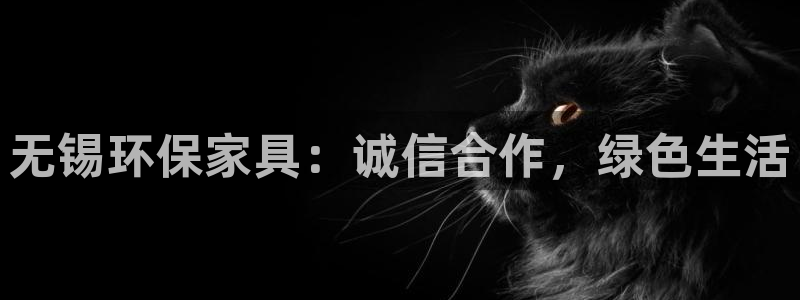 杏耀代理主管qq：无锡环保家具：诚信合作，绿色生活