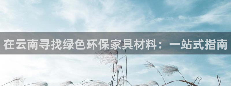 杏耀代理日工资多少