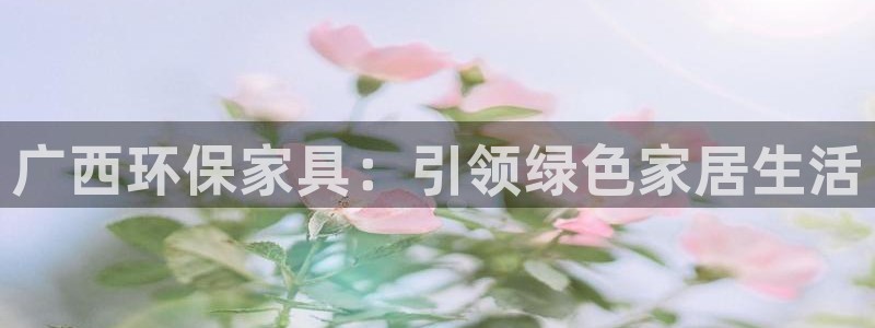 杏耀登陆：广西环保家具：引领绿色家居生活