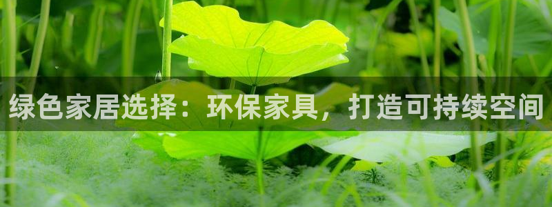 杏耀平台注册会员：绿色家居选择：环保家具，打造可持续空间