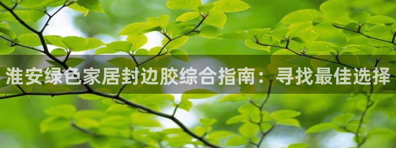 杏耀平台手机：淮安绿色家居封边胶综合指南：寻找最佳选择