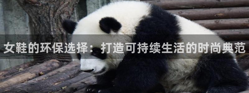 杏耀主管qq