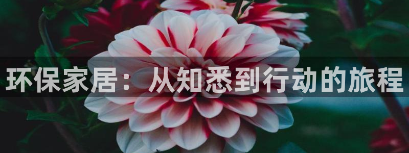 杏耀平台地址