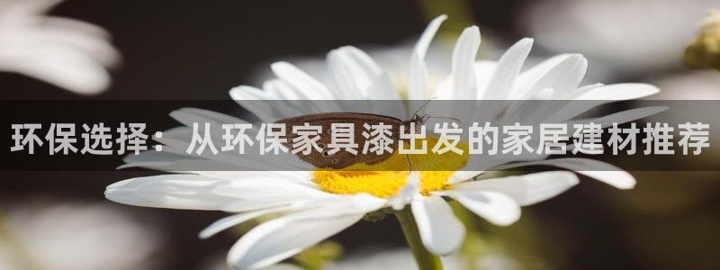 杏耀主管qq