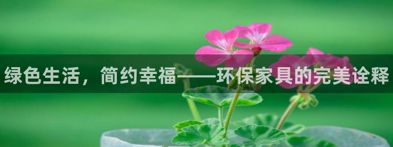 杏耀平台官方登录：绿色生活，简约幸福——环保家具的完美诠释