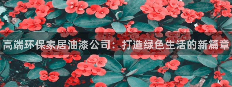 杏耀平台代理：高端环保家居油漆公司：打造绿色生活的新篇章