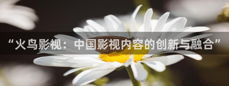 大樱桃结果视频：“火鸟影视：中国影视内容的创新与融合”