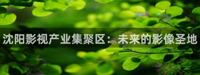 樱桃视频在线观看免费下载：沈阳影视产业集聚区：未来的影像圣地