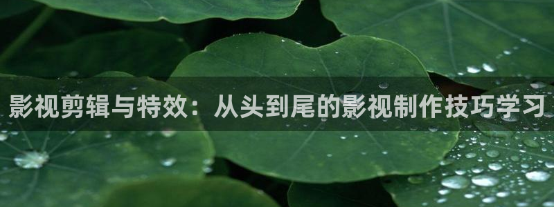 樱桃短视频樱桃小视频：影视剪辑与特效：从头到尾的影视制作技巧学习