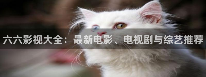 樱桃视频.18在线观看：六六影视大全：最新电影、电视剧与综艺推荐