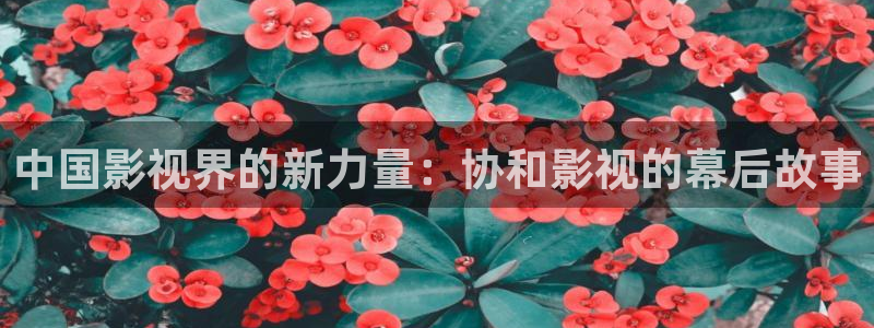 樱桃视频污软件：中国影视界的新力量：协和影视的幕后故事