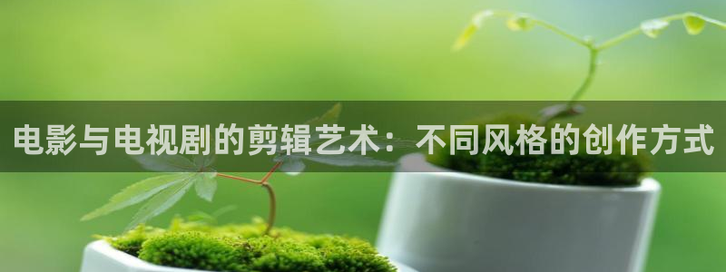 红樱桃电影：电影与电视剧的剪辑艺术：不同风格的创作方式