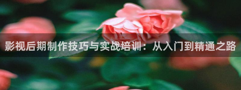 樱桃小视频在线免费观看：影视后期制作技巧与实战培训：从入门到精通之路